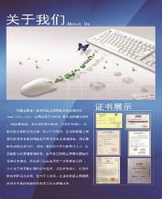 上海聯(lián)啟網(wǎng)絡(luò)科技 引領(lǐng)未來(lái)的網(wǎng)絡(luò)技術(shù)開(kāi)發(fā)專(zhuān)家