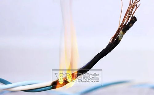 防火阻燃電纜市場未來四大走向 特種電纜成關鍵賽道